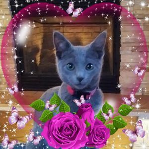 Meet your Posher, Deanna